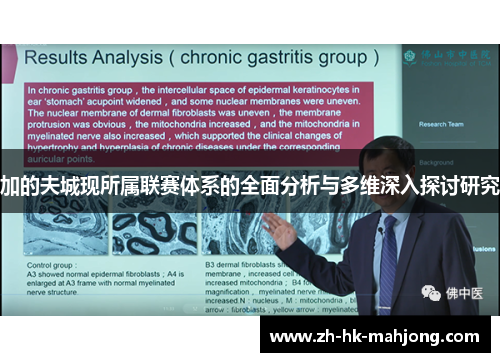 加的夫城现所属联赛体系的全面分析与多维深入探讨研究 加的夫城现所属联赛体系的全面分析与多维深入探讨研究