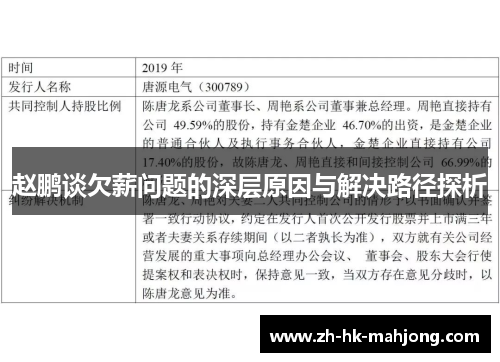 赵鹏谈欠薪问题的深层原因与解决路径探析