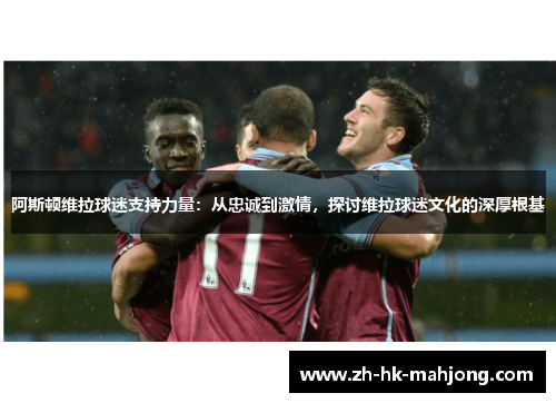 阿斯顿维拉球迷支持力量:从忠诚到激情,探讨维拉球迷文化的深厚根基 阿斯顿维拉球迷支持力量:从忠诚到激情,探讨维拉球迷文化的深厚根基