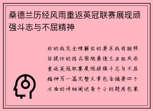 桑德兰历经风雨重返英冠联赛展现顽强斗志与不屈精神 桑德兰历经风雨重返英冠联赛展现顽强斗志与不屈精神