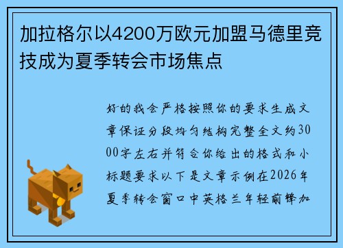 加拉格尔以4200万欧元加盟马德里竞技成为夏季转会市场焦点